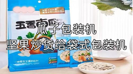 【休閑食品系列9】瓜子給袋式包裝機