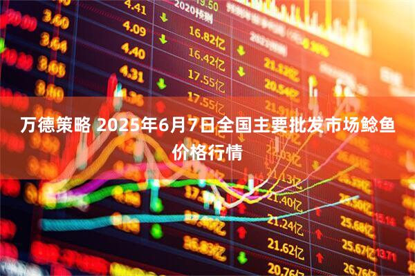 万德策略 2025年6月7日全国主要批发市场鲶鱼价格行情