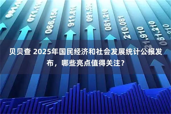 贝贝查 2025年国民经济和社会发展统计公报发布，哪些亮点值得关注？